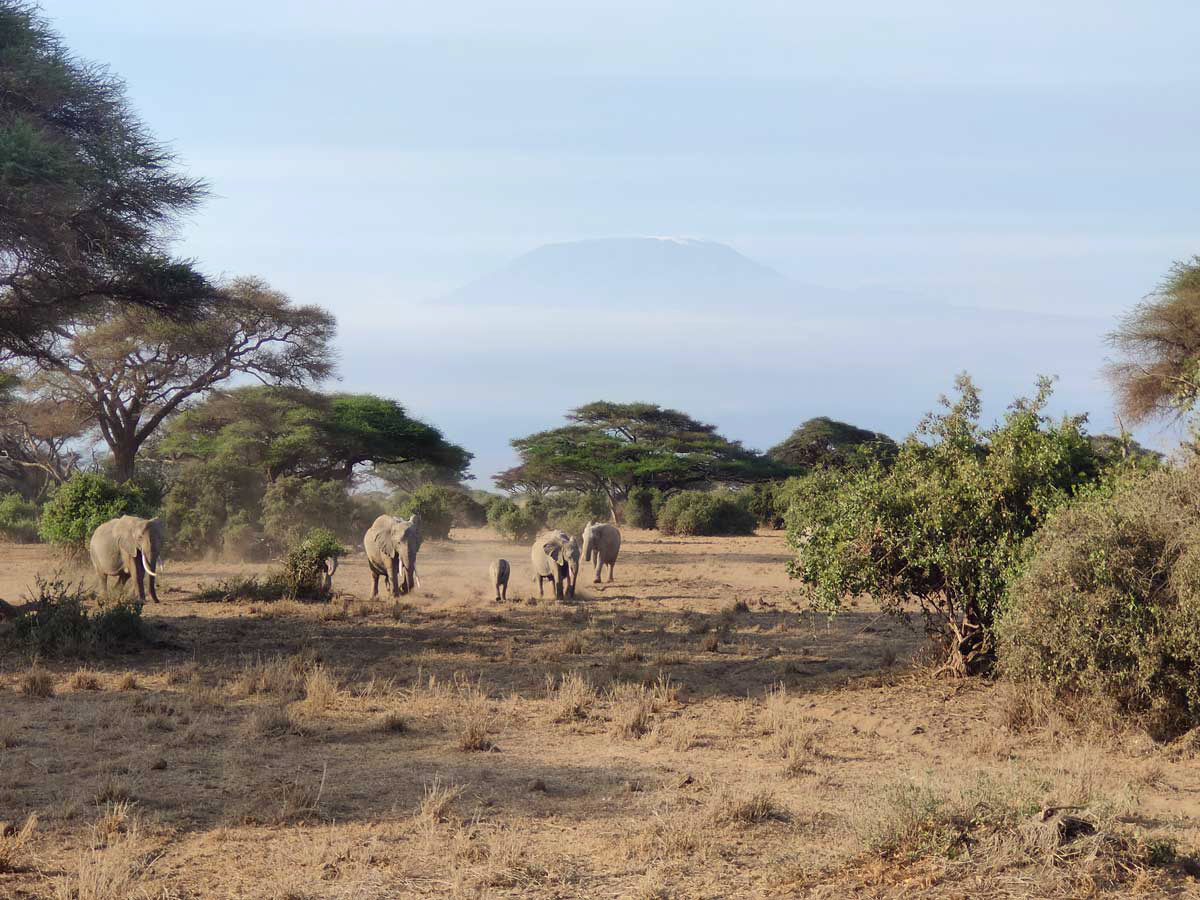 MicroStep-MIS | Network of Automatic Weather Stations for Kenya