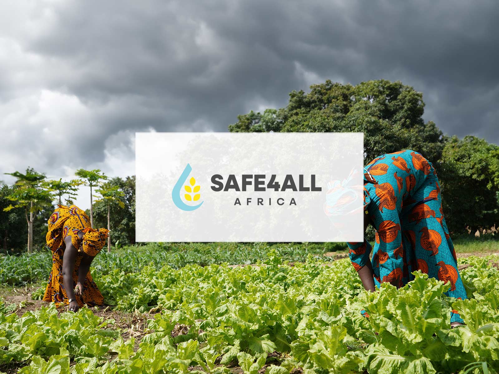 MicroStep-MIS | SAFE4ALL Africa